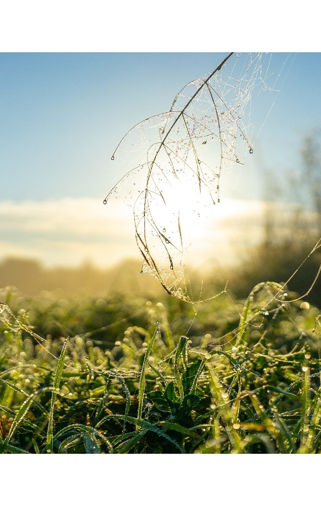 默认标题__2023-08-26 16_47_53.jpeg