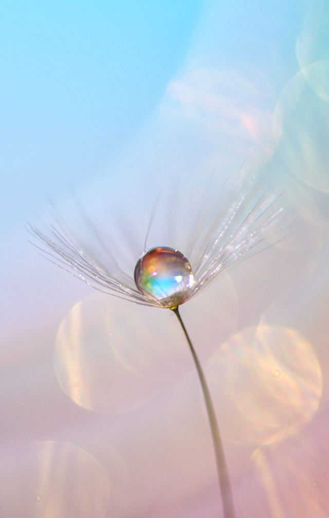 默认标题__2023-08-28 15_58_32.jpeg