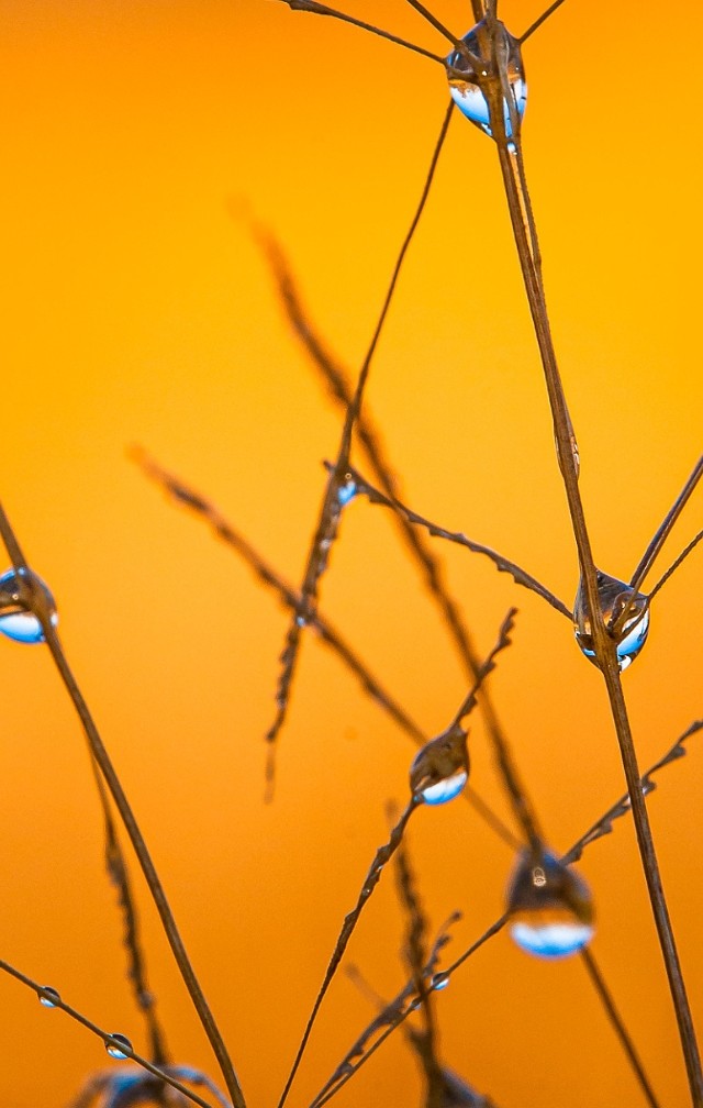 默认标题__2023-09-15 14_45_19.jpeg