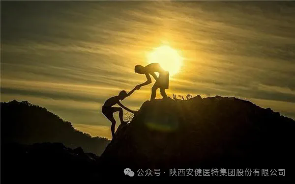 640 (1).webp (2).png