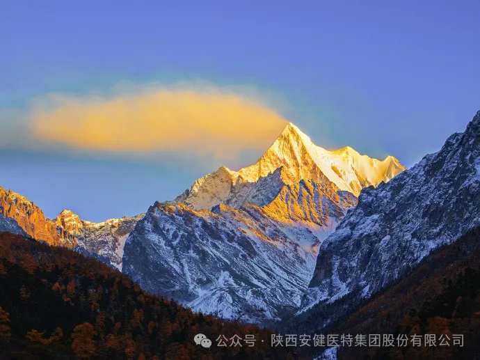 640 (1).webp (12).png