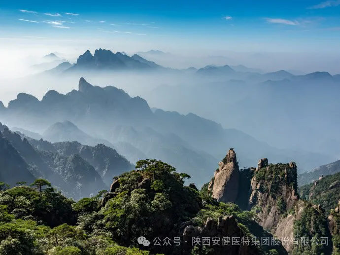 640 (1).webp (13).png