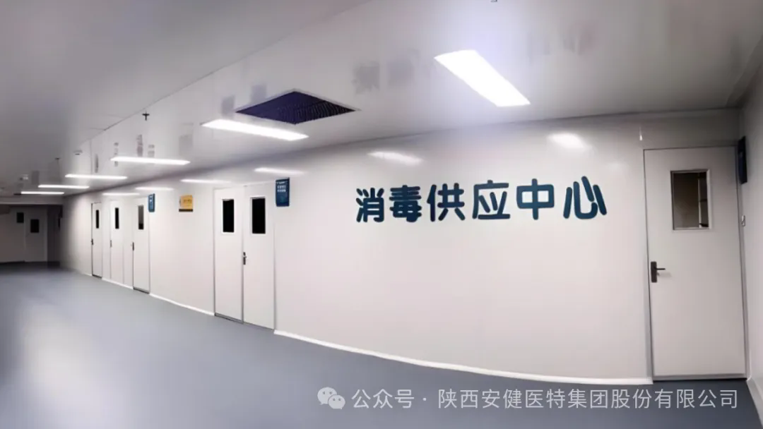 640 (1).webp (9).png