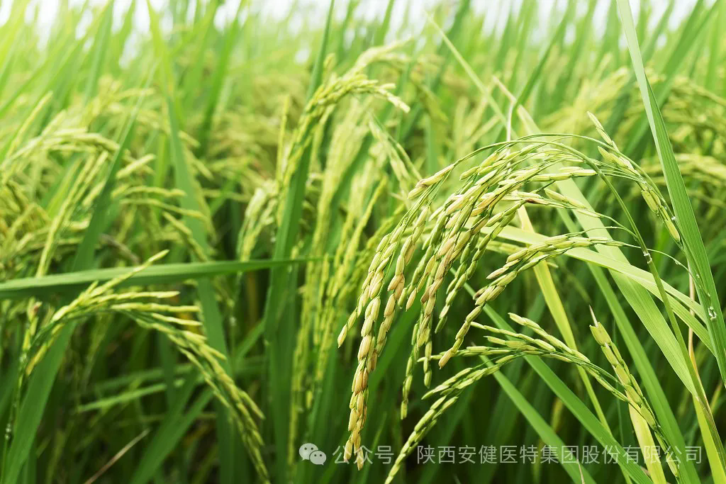 640 (1).webp (17).png