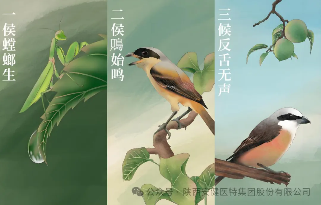 640 (1).webp (32).png