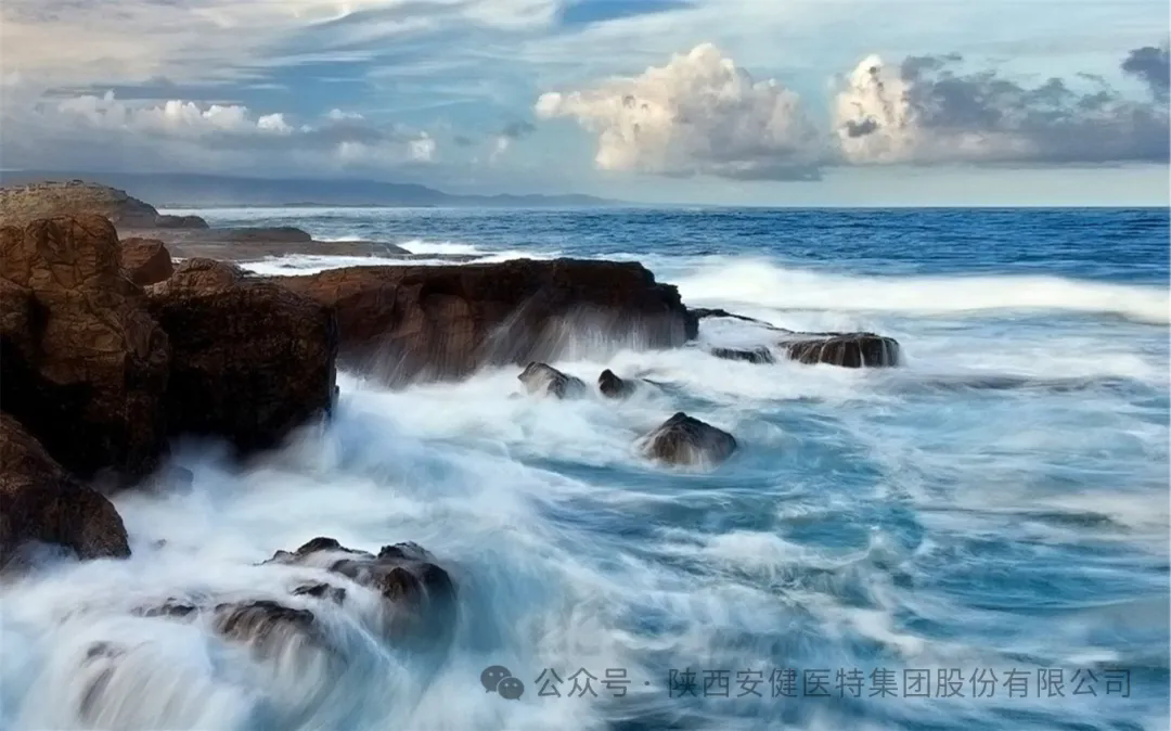 640 (1).webp (11).png