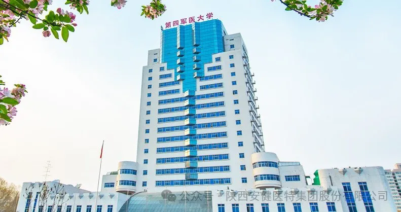 640 (1).webp (38).png