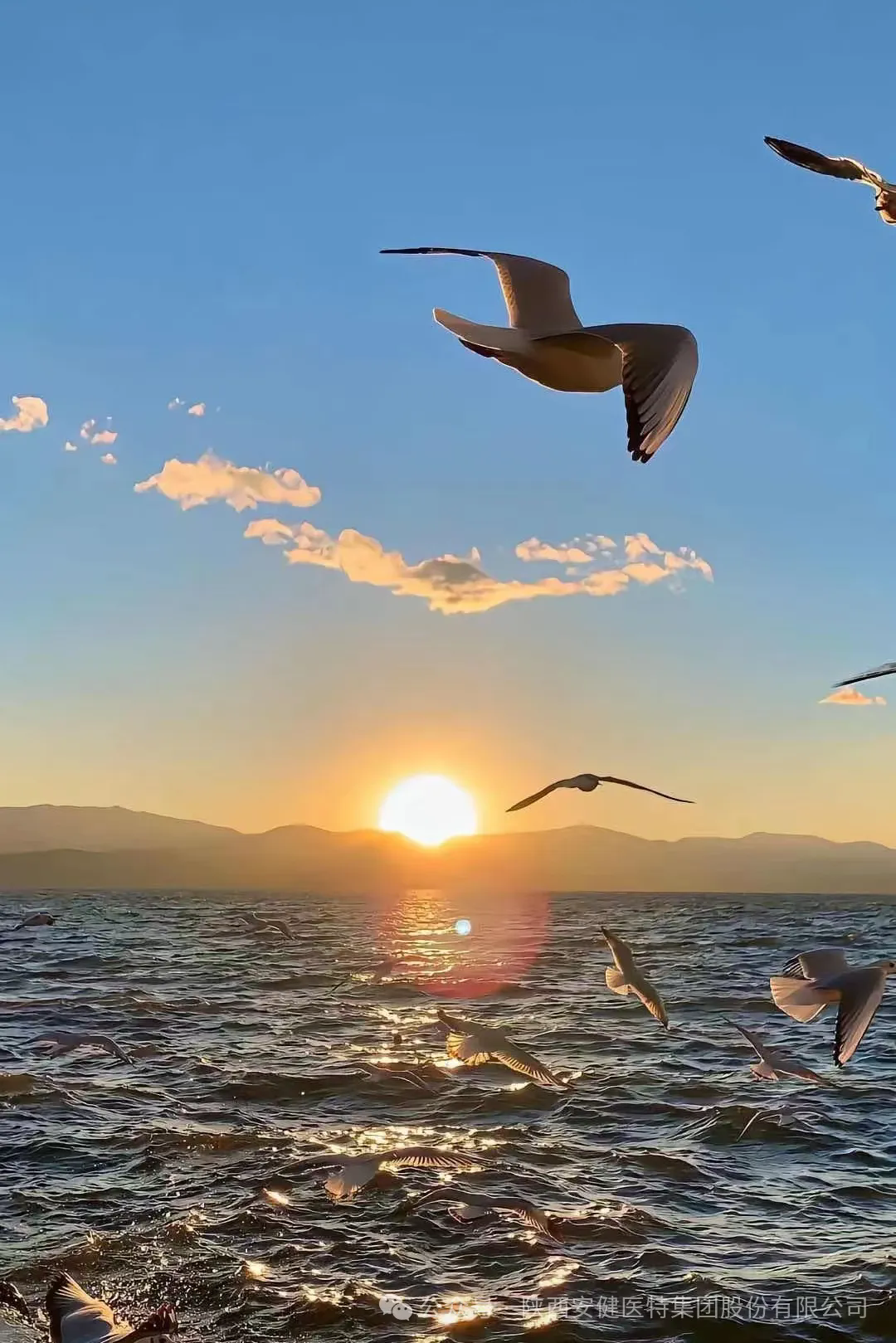 640 (1).webp (40).png