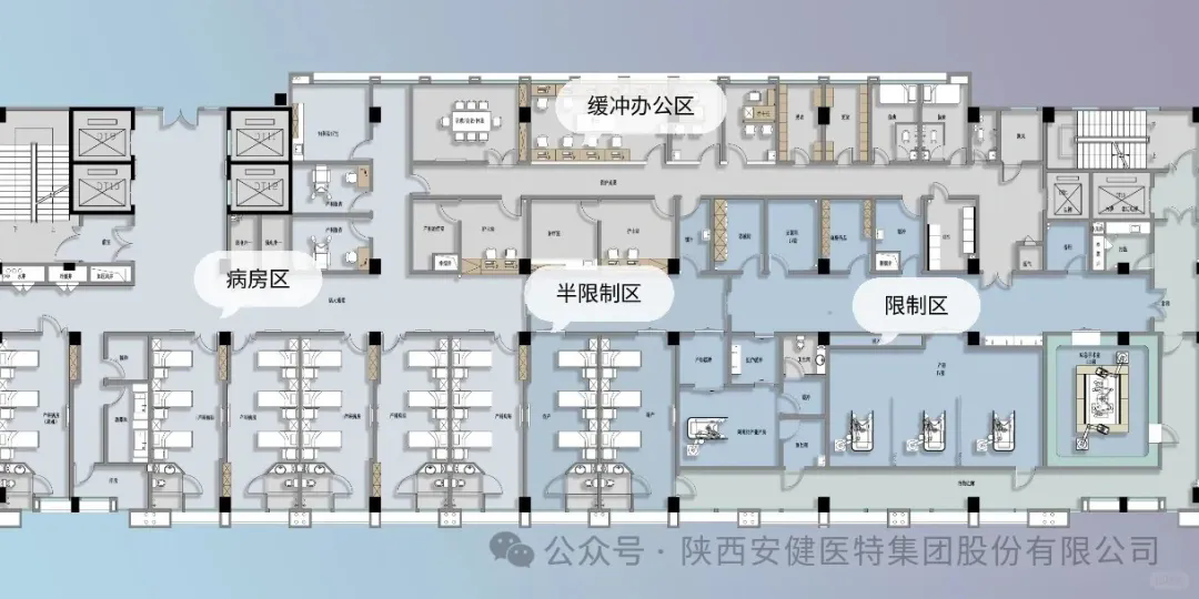 640 (2).webp (3).png