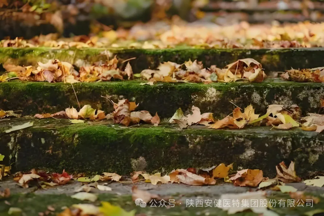 640 (1).webp (5).png