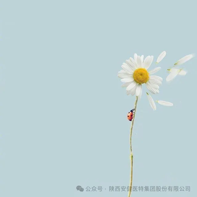 640 (1).webp (19).png