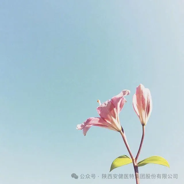 640 (1).webp (20).png