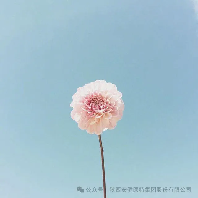 640 (1).webp (21).png