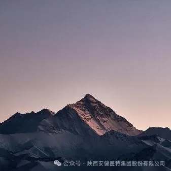 640 (1).webp (22).png