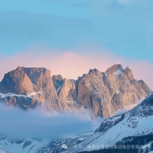 640 (1).webp (23).png