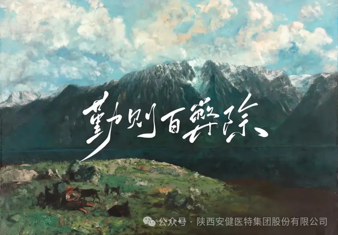 640 (1).webp (18).png