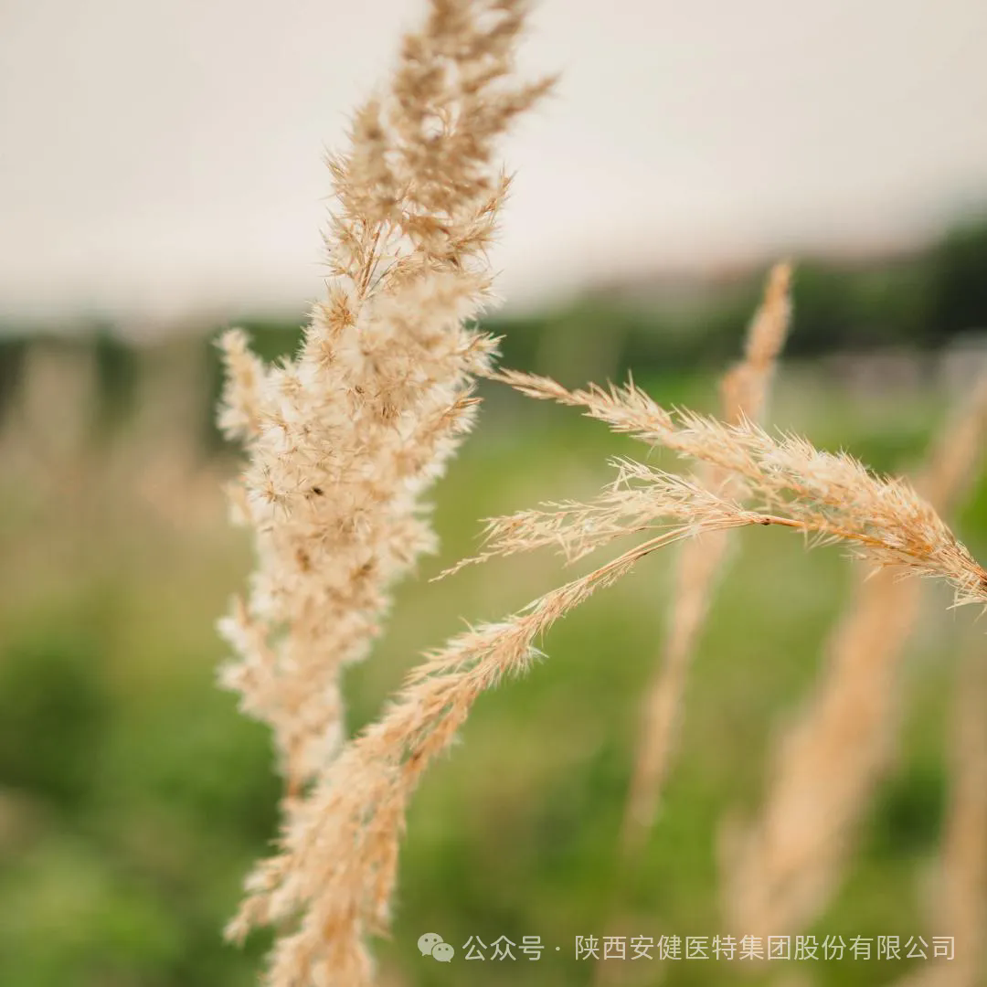 640 (1).webp (1).png