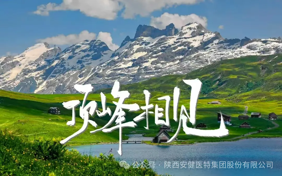 640 (1).webp (14).png