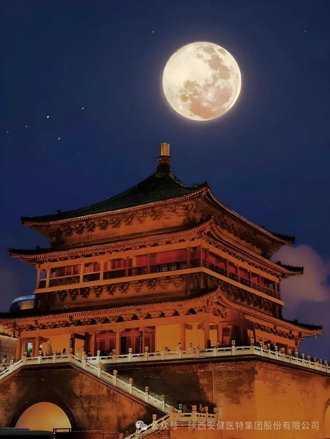 640 (1).webp (16).png