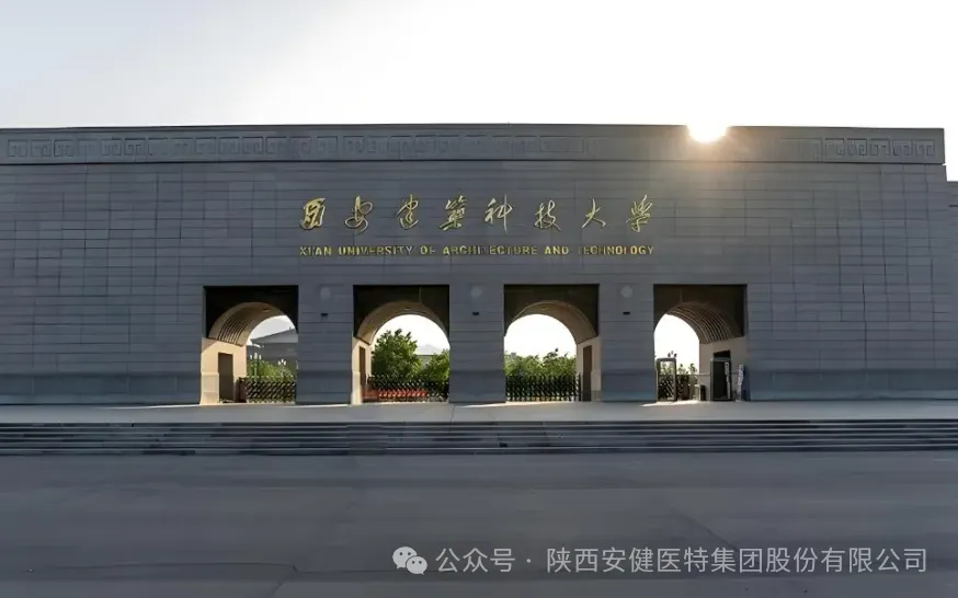 640 (3).webp (23).png